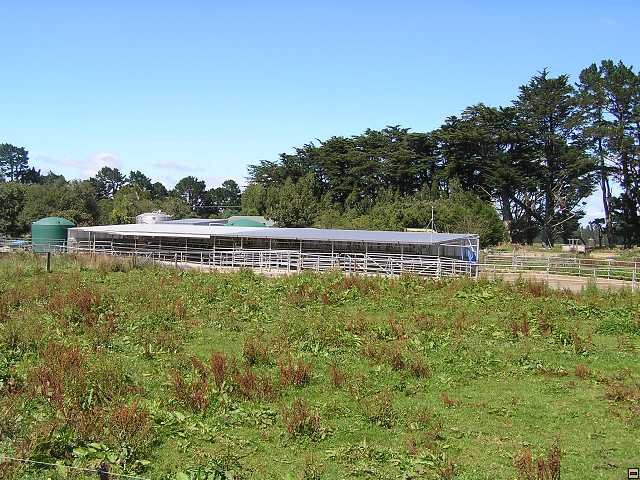 NZ leden-unor 2006 102.jpg